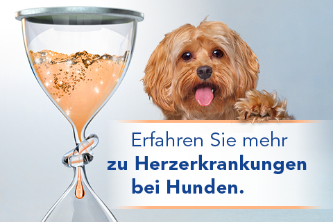 Text_Ad_Boehringer