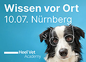 Text_Ad_Heel