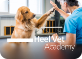 Text_Ad_Heel